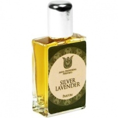 Silver Lavender